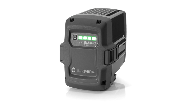 BLI300 BATTERI 9,4AH 338wH 36v