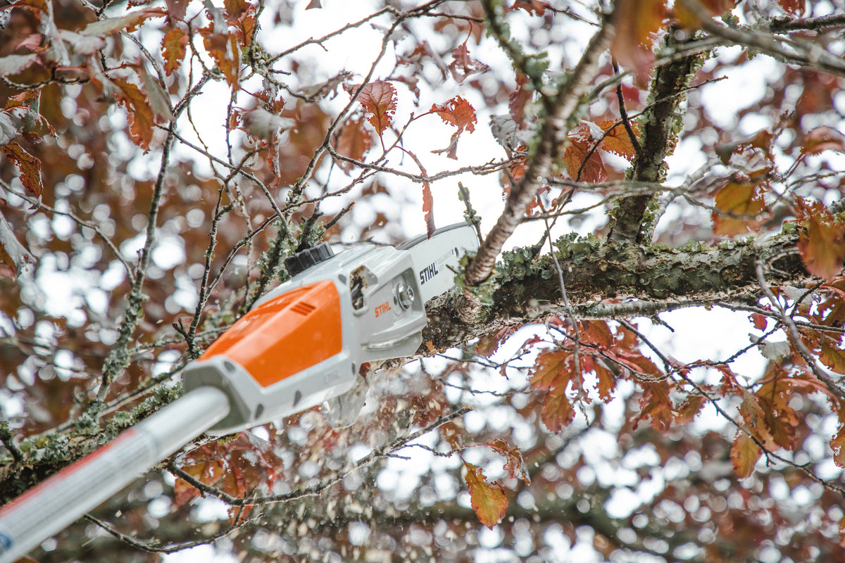 Stihl HTA 50