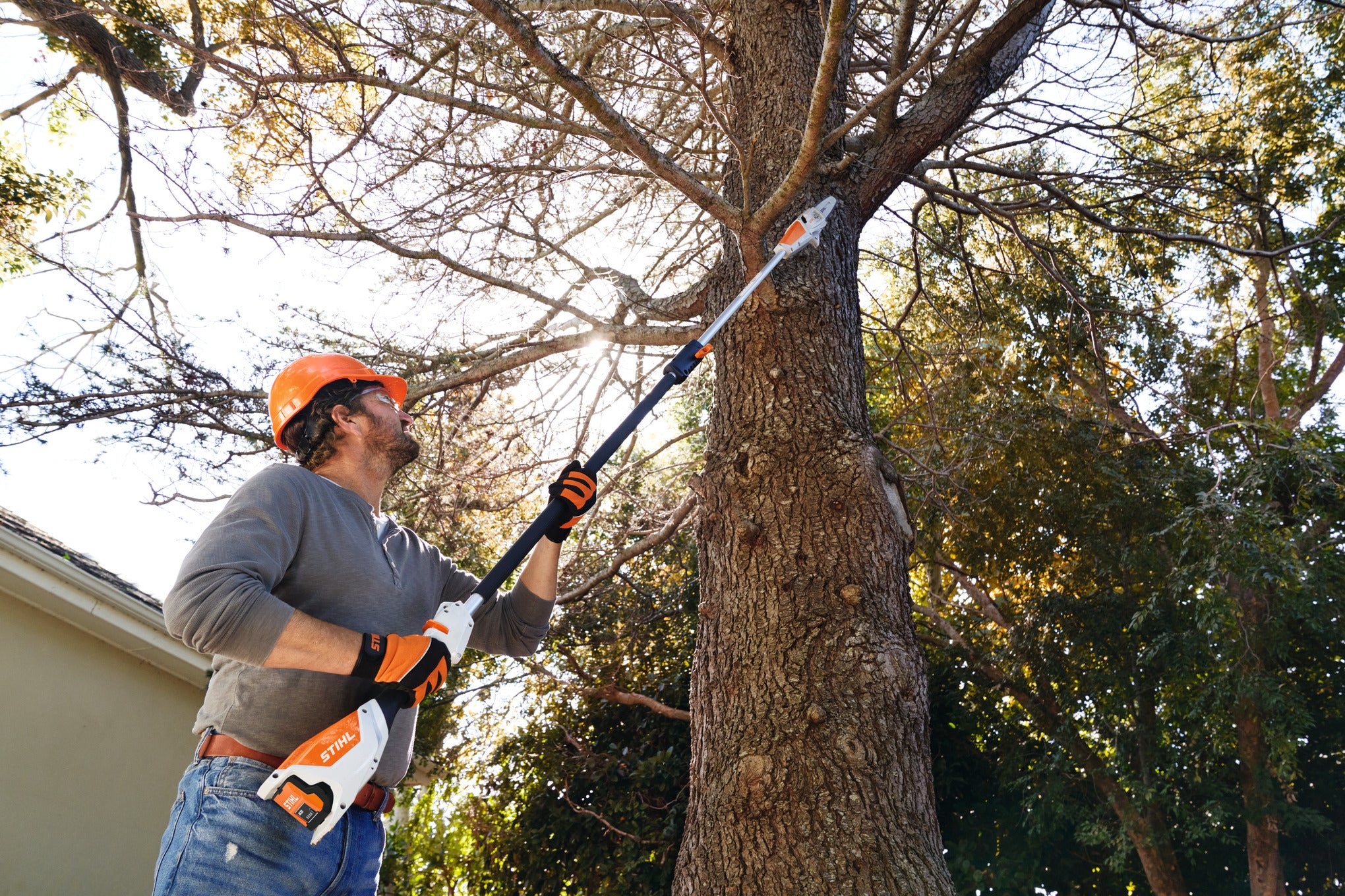 Stihl HTA 50 SET